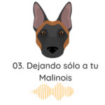 El Profe Malinois|Adiestramiento canino