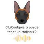 El Profe Malinois | Adiestramiento canino