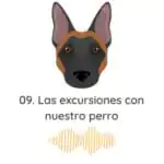 El Profe Malinois | Adiestramiento canino