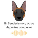 El Profe Malinois | Adiestramiento canino