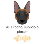 El Profe Malinois | Adiestramiento canino
