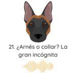 El Profe Malinois | Adiestramiento canino