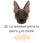 El Profe Malinois | Adiestramiento canino