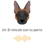 El Profe Malinois | Adiestramiento canino