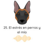 El Profe Malinois | Adiestramiento canino