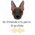 El Profe Malinois | Adiestramiento canino