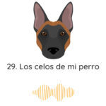 El Profe Malinois | Adiestramiento canino