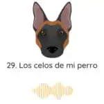 El Profe Malinois | Adiestramiento canino