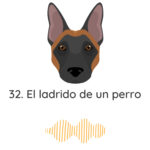 El Profe Malinois | Adiestramiento canino