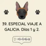 El Profe Malinois | Adiestramiento canino