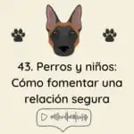El Profe Malinois | Adiestramiento canino El Profe Malinois | Adiestramiento canino