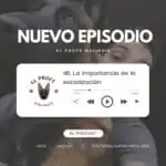 El Profe Malinois | Adiestramiento canino El Profe Malinois | Adiestramiento canino