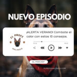 El Profe Malinois | Adiestramiento canino