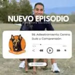El Profe Malinois | Adiestramiento canino El Profe Malinois | Adiestramiento canino