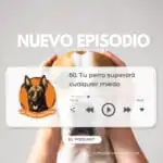 El Profe Malinois | Adiestramiento canino El Profe Malinois | Adiestramiento canino