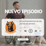 El Profe Malinois | Adiestramiento canino