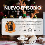 El Profe Malinois | Adiestramiento canino