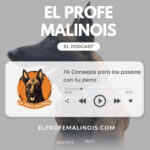 El Profe Malinois | Adiestramiento canino