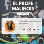 El Profe Malinois | Adiestramiento canino