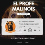 El Profe Malinois | Adiestramiento canino