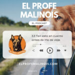 El Profe Malinois | Adiestramiento canino