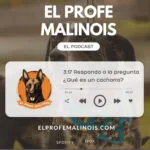 El Profe Malinois | Adiestramiento canino