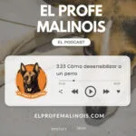 El Profe Malinois | Adiestramiento canino