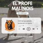 El Profe Malinois | Adiestramiento canino