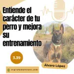 El Profe Malinois | Adiestramiento canino