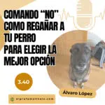El Profe Malinois | Adiestramiento canino El Profe Malinois | Adiestramiento canino