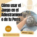 El Profe Malinois | Adiestramiento canino