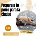 El Profe Malinois | Adiestramiento canino