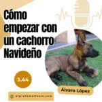 El Profe Malinois | Adiestramiento canino