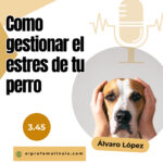 El Profe Malinois | Adiestramiento canino