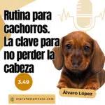 El Profe Malinois | Adiestramiento canino
