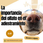 El Profe Malinois | Adiestramiento canino