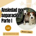 El Profe Malinois | Adiestramiento canino