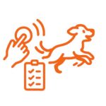Indice del curso La Llamada 4 Indice del curso La Llamada