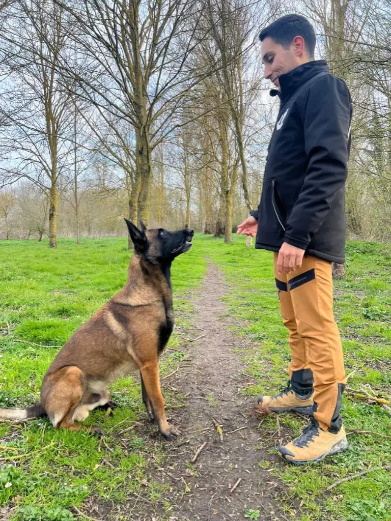 yo-y-mi-perro entrenando con un pastor belga malinois